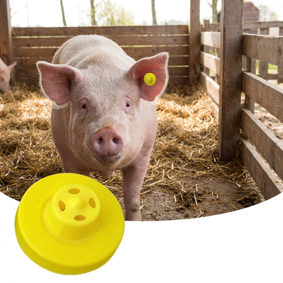 Etichetta auricolare in metallo RFID ICAR COMPLETA da 134,2 KHz per bovini, suini, ovini, soluzione di identificazione degli animali avanzata